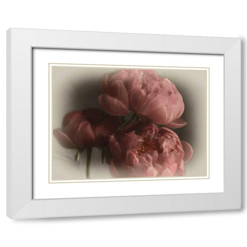 Heavenly White Modern Wood Framed Art Print with Double Matting by Pahl, Janel