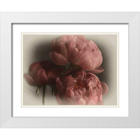 Heavenly White Modern Wood Framed Art Print with Double Matting by Pahl, Janel