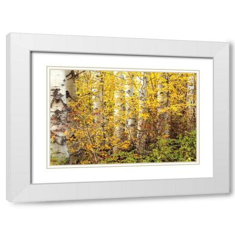 Hiding White Modern Wood Framed Art Print with Double Matting by Pahl, Janel