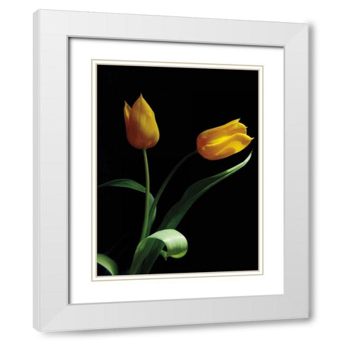 Trust White Modern Wood Framed Art Print with Double Matting by Szilagyi, Ily