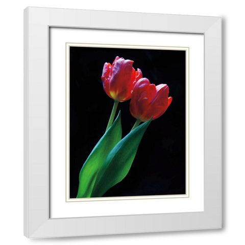 Romance White Modern Wood Framed Art Print with Double Matting by Szilagyi, Ily