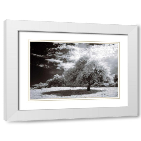 Peace White Modern Wood Framed Art Print with Double Matting by Szilagyi, Ily