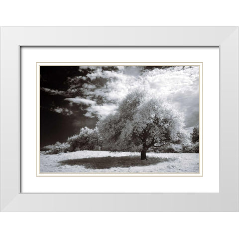 Peace White Modern Wood Framed Art Print with Double Matting by Szilagyi, Ily
