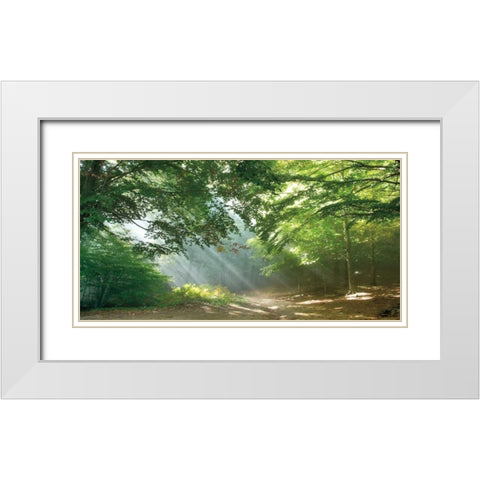 Morning Break White Modern Wood Framed Art Print with Double Matting by Vila, Toni