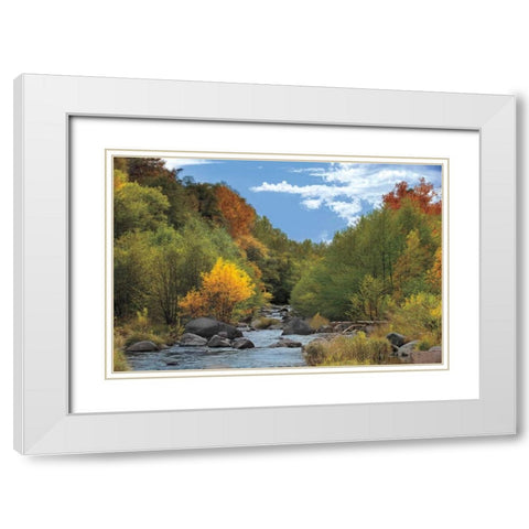 Near Perfect Day White Modern Wood Framed Art Print with Double Matting by Jones, Mike