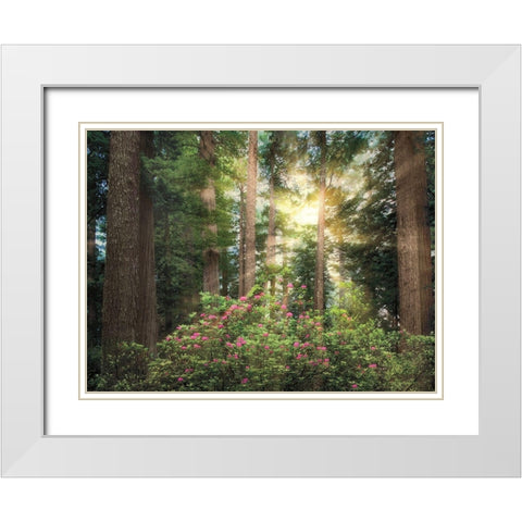 Rise n Shine White Modern Wood Framed Art Print with Double Matting by Frates, Dennis