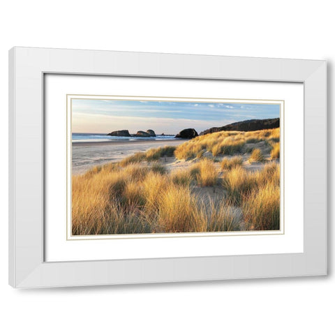 Dune Grass and Beach White Modern Wood Framed Art Print with Double Matting by Frates, Dennis