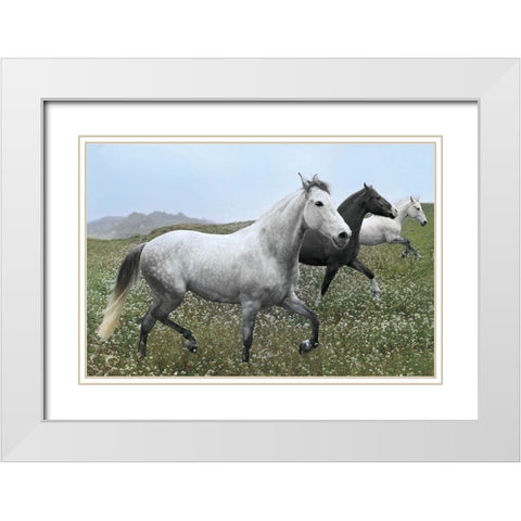 Perfect Pasture White Modern Wood Framed Art Print with Double Matting by Llovet, Jorge