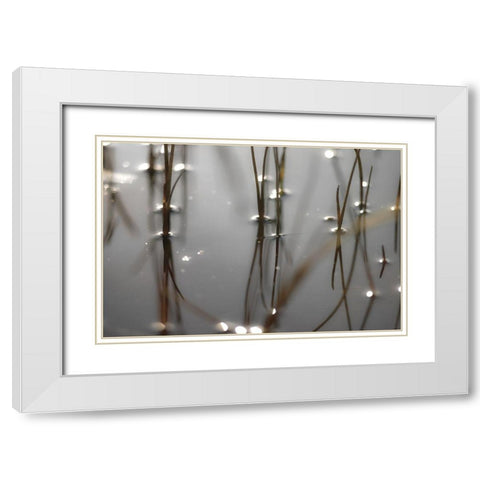 Still Waters White Modern Wood Framed Art Print with Double Matting by Frank, Assaf