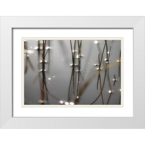 Still Waters White Modern Wood Framed Art Print with Double Matting by Frank, Assaf