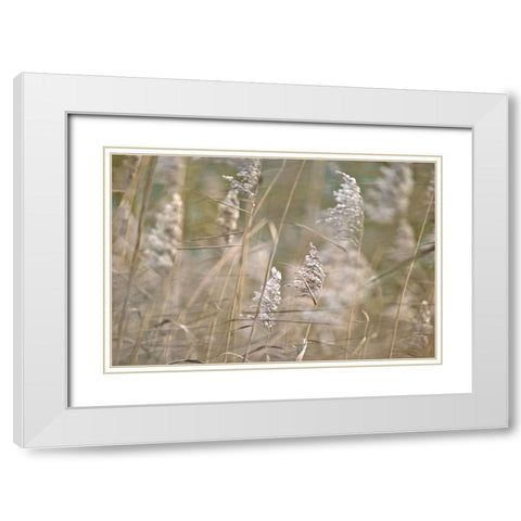 Wind Blown White Modern Wood Framed Art Print with Double Matting by Frank, Assaf