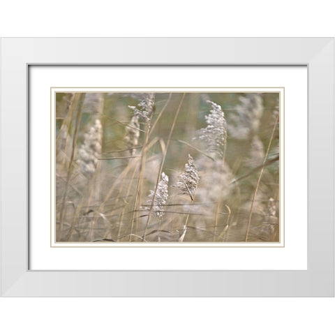 Wind Blown White Modern Wood Framed Art Print with Double Matting by Frank, Assaf