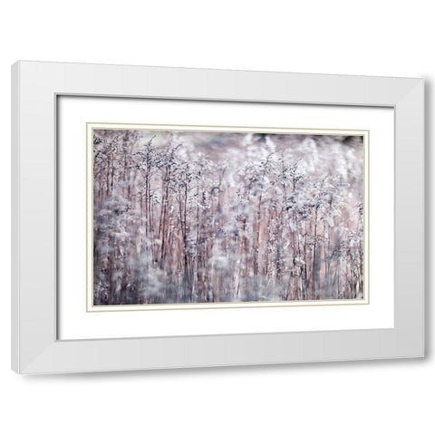 Cotton Tops White Modern Wood Framed Art Print with Double Matting by Frank, Assaf