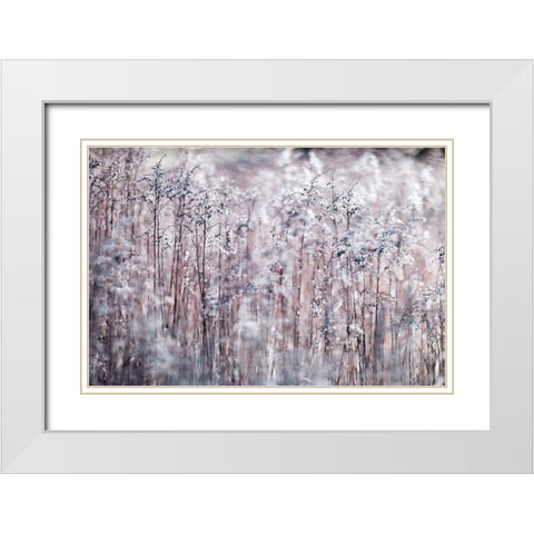 Cotton Tops White Modern Wood Framed Art Print with Double Matting by Frank, Assaf