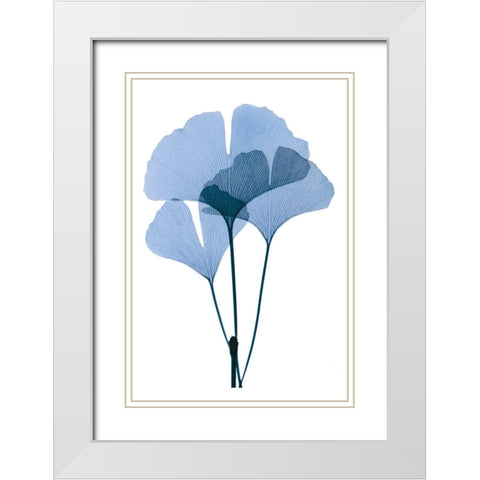 Get Growing I White Modern Wood Framed Art Print with Double Matting by ACEE