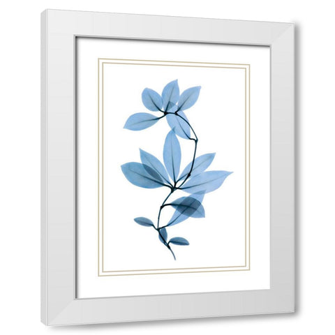 Get Growing II White Modern Wood Framed Art Print with Double Matting by ACEE