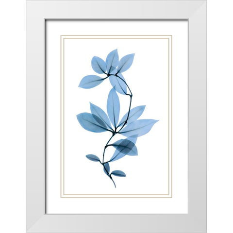 Get Growing II White Modern Wood Framed Art Print with Double Matting by ACEE