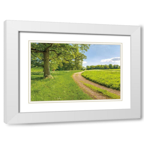 Greenest Pastures White Modern Wood Framed Art Print with Double Matting by Frank, Assaf
