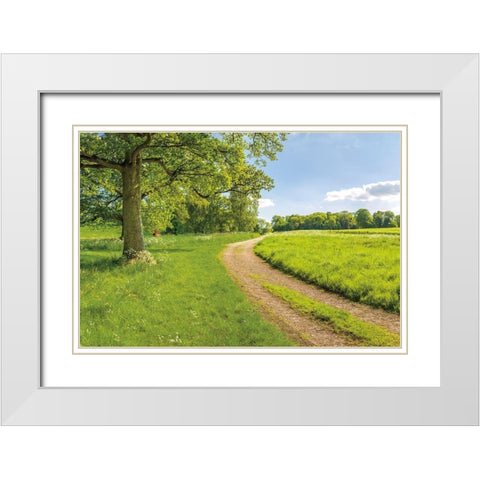 Greenest Pastures White Modern Wood Framed Art Print with Double Matting by Frank, Assaf