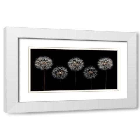 Make A Wish White Modern Wood Framed Art Print with Double Matting by Frank, Assaf