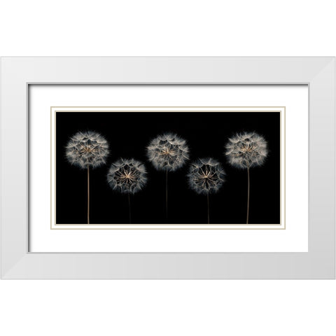 Make A Wish White Modern Wood Framed Art Print with Double Matting by Frank, Assaf