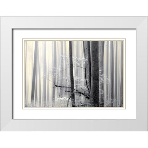 Still Silence White Modern Wood Framed Art Print with Double Matting by Pelkey, Marvin
