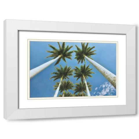 Looking Up  White Modern Wood Framed Art Print with Double Matting by Frates, Dennis