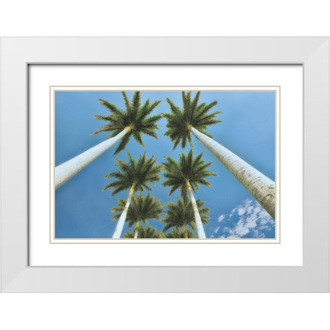 Looking Up  White Modern Wood Framed Art Print with Double Matting by Frates, Dennis