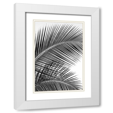 Tropical Fan White Modern Wood Framed Art Print with Double Matting by Frates, Dennis