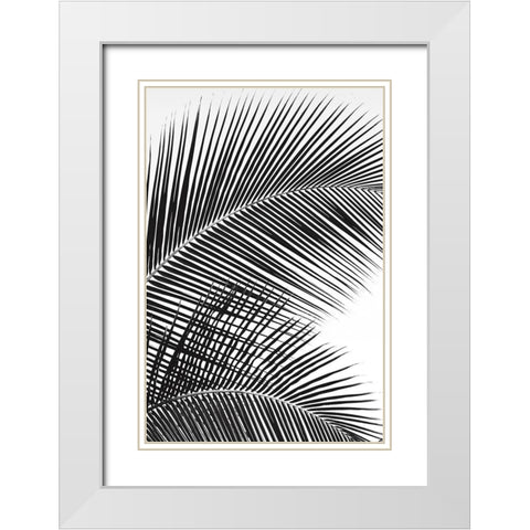 Tropical Fan White Modern Wood Framed Art Print with Double Matting by Frates, Dennis