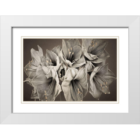 Grand Floral White Modern Wood Framed Art Print with Double Matting by Frank, Assaf