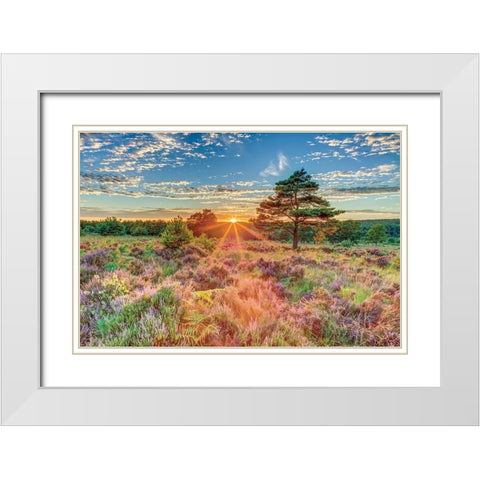 Heathland Sunset White Modern Wood Framed Art Print with Double Matting by Frank, Assaf