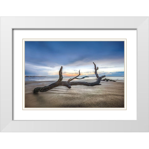 Bones Beach White Modern Wood Framed Art Print with Double Matting by Celebrate Life Gallery