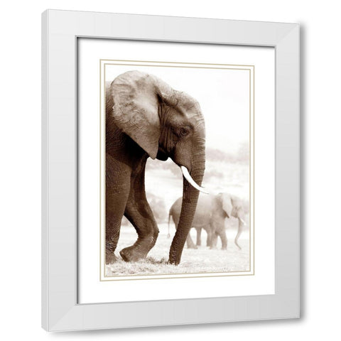 Wandering White Modern Wood Framed Art Print with Double Matting by Llovet, Jorge
