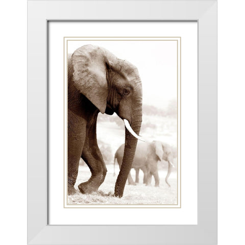 Wandering White Modern Wood Framed Art Print with Double Matting by Llovet, Jorge