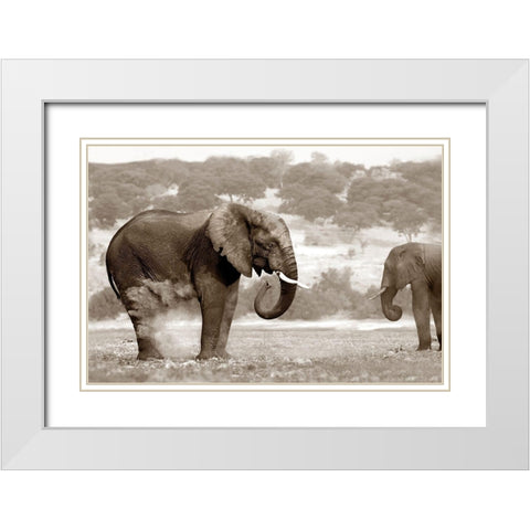 Bath Time White Modern Wood Framed Art Print with Double Matting by Llovet, Jorge