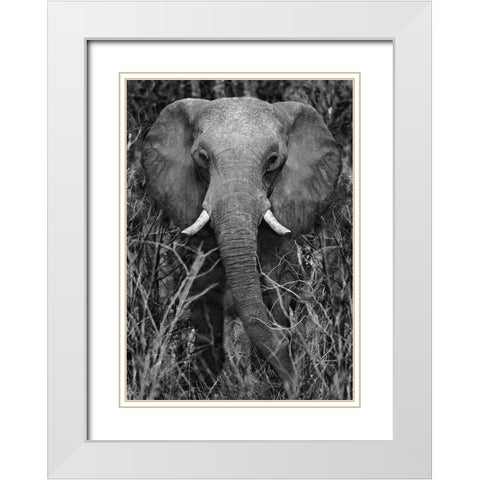 Strength White Modern Wood Framed Art Print with Double Matting by Ortega, Xavier