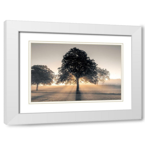 Hidden Treasure White Modern Wood Framed Art Print with Double Matting by Frank, Assaf