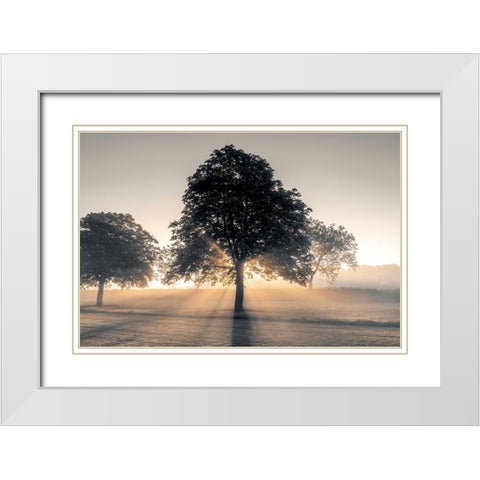 Hidden Treasure White Modern Wood Framed Art Print with Double Matting by Frank, Assaf