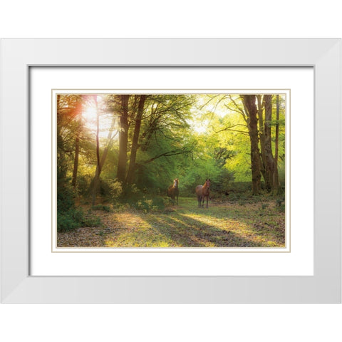 Good Morning White Modern Wood Framed Art Print with Double Matting by Frank, Assaf