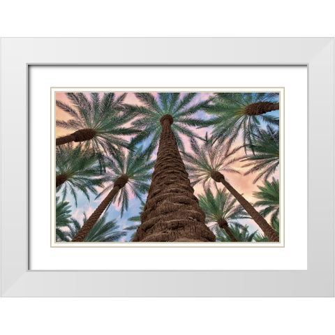 Tropical Views White Modern Wood Framed Art Print with Double Matting by Frates, Dennis