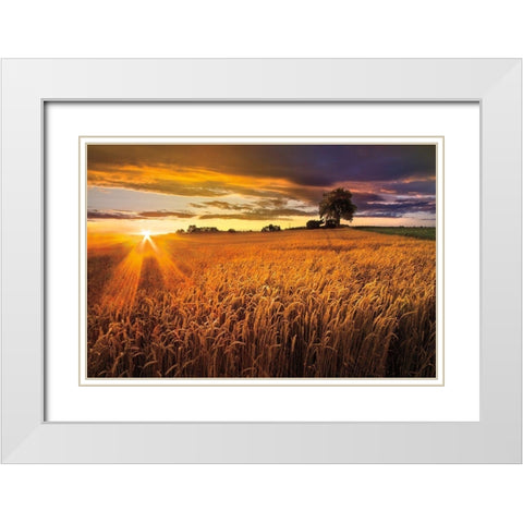Sunlight On the Wheat Fields White Modern Wood Framed Art Print with Double Matting by Celebrate Life Gallery
