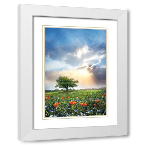 Glowing Sunset After the Rain White Modern Wood Framed Art Print with Double Matting by Celebrate Life Gallery