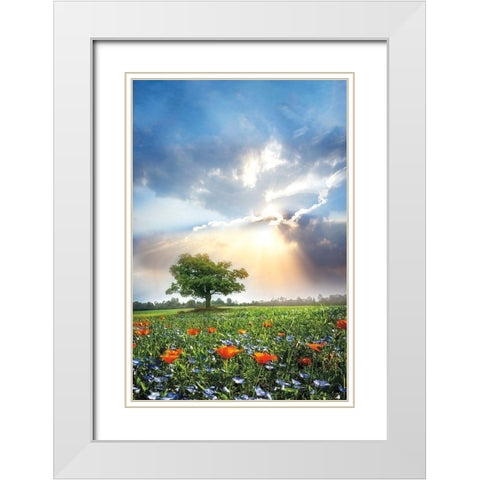 Glowing Sunset After the Rain White Modern Wood Framed Art Print with Double Matting by Celebrate Life Gallery