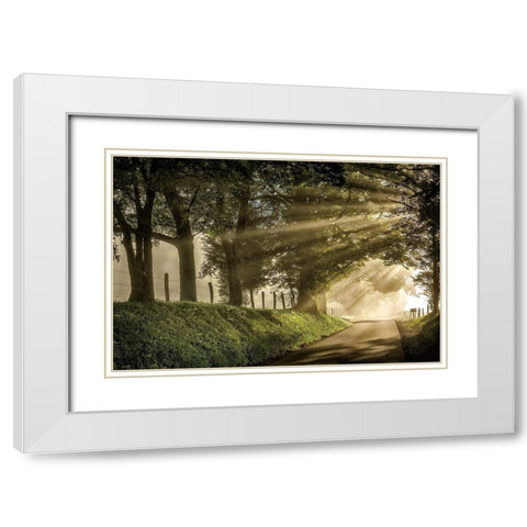All Aglow White Modern Wood Framed Art Print with Double Matting by Burt, D.