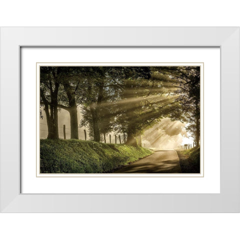 All Aglow White Modern Wood Framed Art Print with Double Matting by Burt, D.