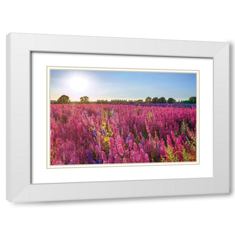 Delphinium Field White Modern Wood Framed Art Print with Double Matting by Frank, Assaf
