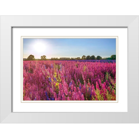 Delphinium Field White Modern Wood Framed Art Print with Double Matting by Frank, Assaf