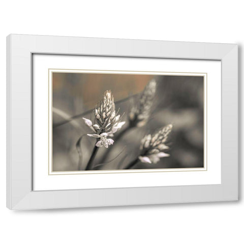 Up Close White Modern Wood Framed Art Print with Double Matting by Frank, Assaf