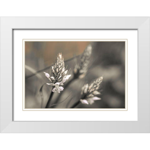 Up Close White Modern Wood Framed Art Print with Double Matting by Frank, Assaf